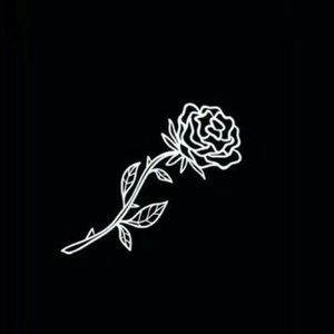 Meet your Posher, Alfredo